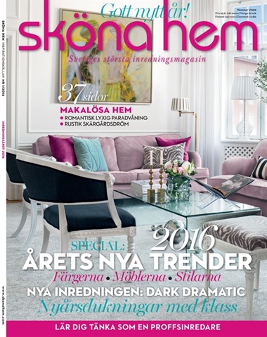 skona-hem-15-2015