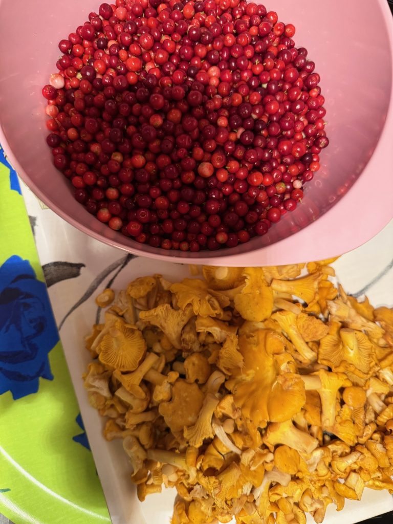 Skogsmulle med recept på rårörda lingon!