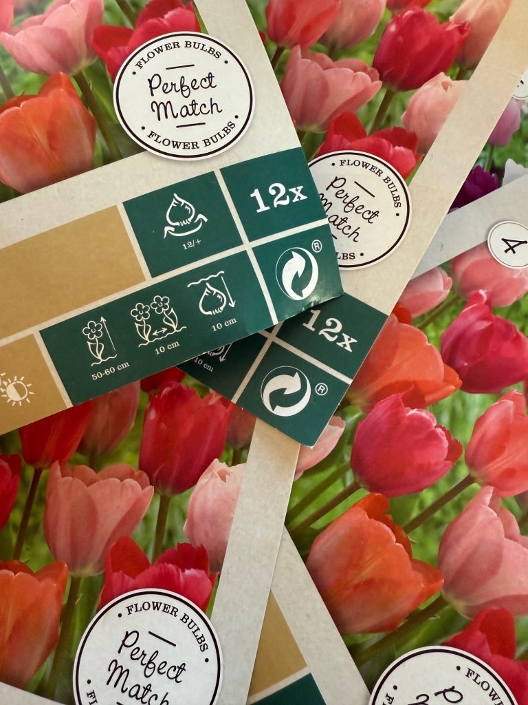 Val av tulpaner för nästa säsong