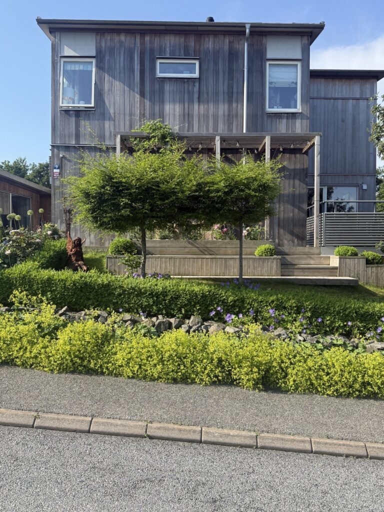 Min trädgård och vad jag prioriterar